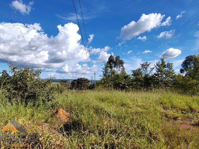 #23 - Terreno para Venda em Goiânia - GO - 2