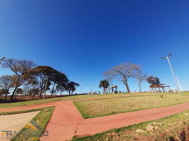 #41 - Lote para Venda em Aparecida de Goiânia - GO - 3