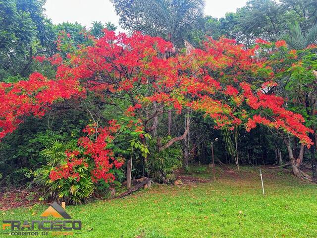 Terreno em Condomínio para Venda em Aragoiânia - 4