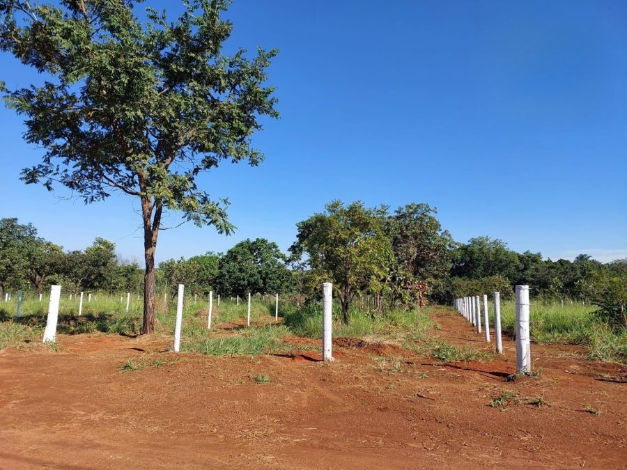 Chcara - Venda - Zona Rural - Aragoinia - GO