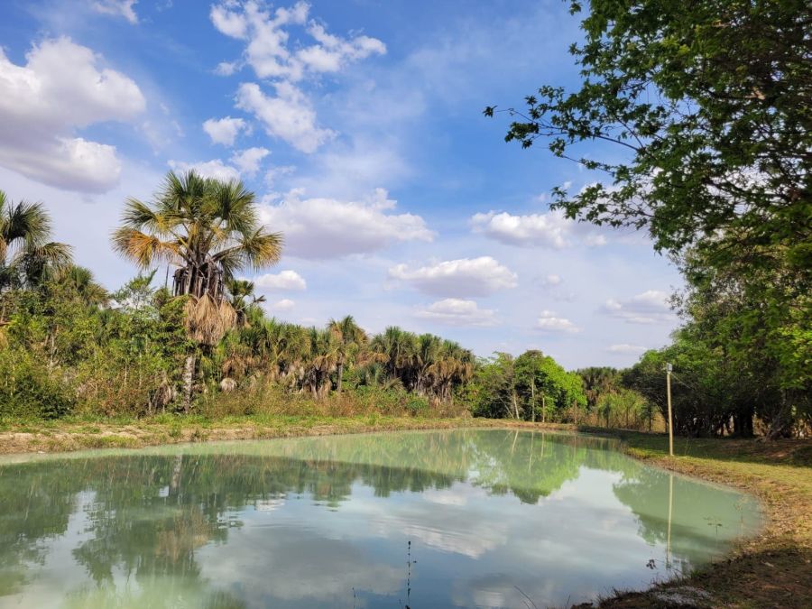 Chcara - Venda - Zona Rural - Aragoinia - GO